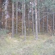 Forest for sale near Velingrad