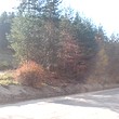 Forest for sale near Velingrad