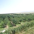 Fruit farm agricultural business for sale near Shumen