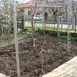 Below Market Price House Near Dobrich