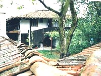 Houses in Elena