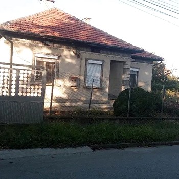 Houses in Polski Trambesh