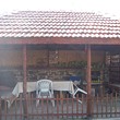 House for sale near Chirpan