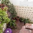 House for sale near Dimitrovgrad