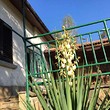 House for sale near Gabrovo
