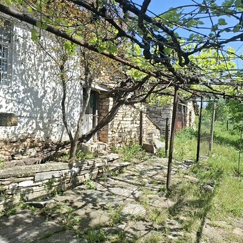 Houses in Haskovo