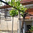 House for sale near Karnobat