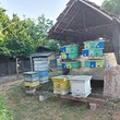 House with beehives near Kozloduy