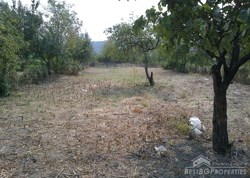 House for sale near Montana