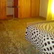 House for sale near Samokov