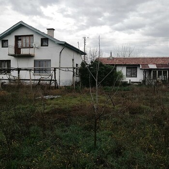 Houses in Sandanski