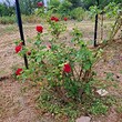 House for sale near Sredets