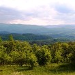 House for sale near Troyan