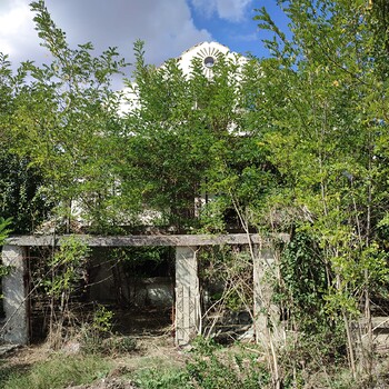 Houses in Yambol