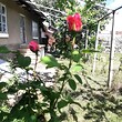 House for sale with a large yard near Ruse