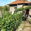House with vineyard for sale in Lom