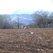 Land near Berkovitsa