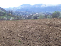 Development land in Berkovitsa