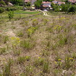 Wonderful Plot Near Sandanski
