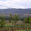 Wonderful Plot Near Sandanski