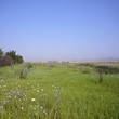 Land near Sofia