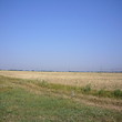 Land near Sofia