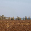 Large Plot Of Agricultural Land Near Kavarna