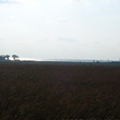 Large Plot Of Land Near Kavarna