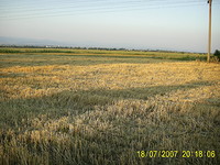 Agricultural land in Sofia