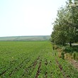 Large development land for sale near Bourgas