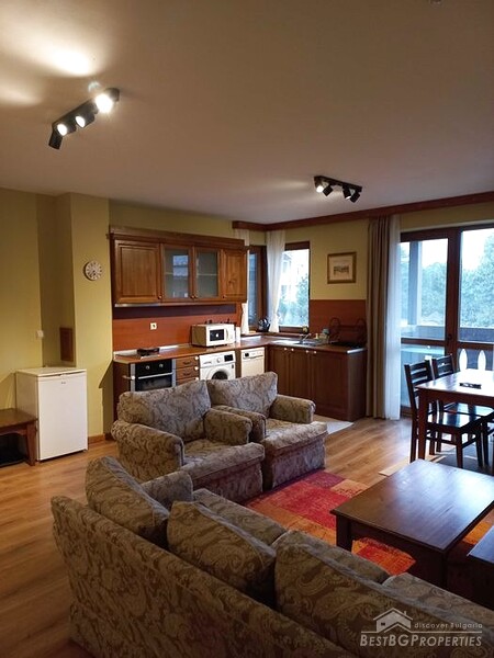 Large one bedroom apartment for sale near Bansko