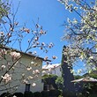 Lovely house for sale near Pernik