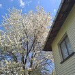 Lovely house for sale near Pernik