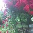 Lovely house for sale near Pernik