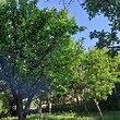 Lovely house for sale near Pernik