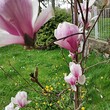 Lovely house for sale near Pernik