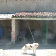 Solid House In A Well Arranged Village