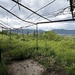 Old house for sale near Vratsa