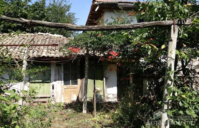 Old rural house for sale near Varna