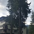 One bedroom apartment for sale in Pamporovo