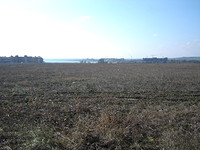 Plot Of Land 400 m Away From The Beach In Aheloy