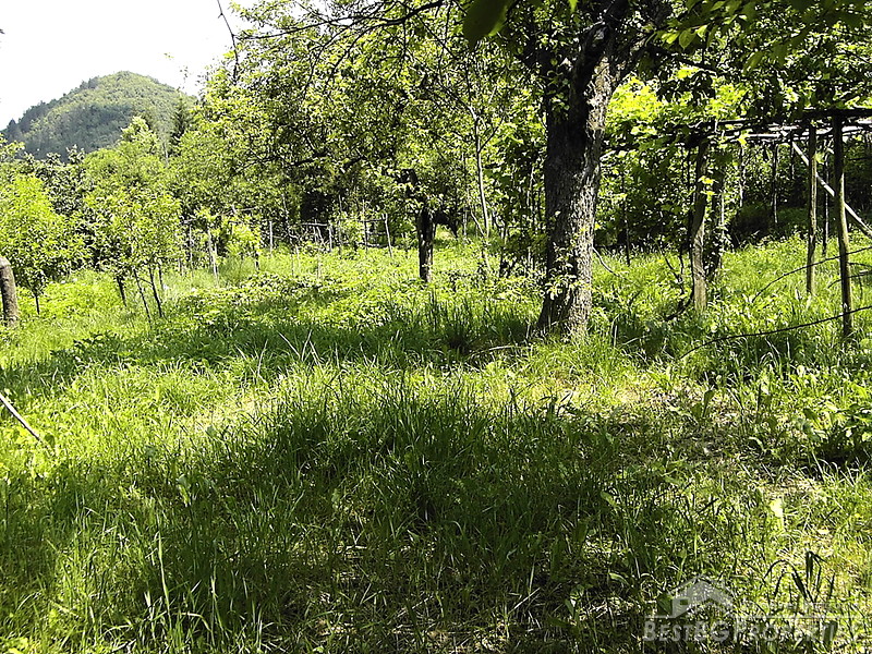 Regulated Plot In The Heart Of The Balkan Mountains