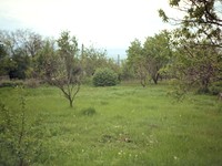 Regulated plot for sale near Varna