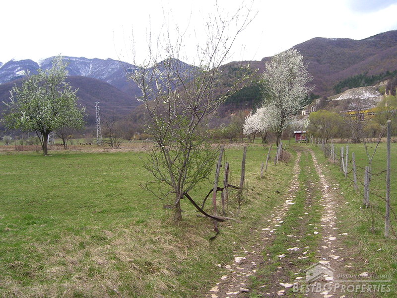 Regulated plot near Berkovitsa
