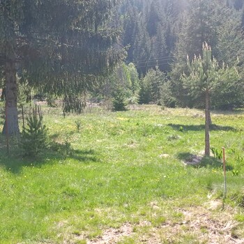 Regulated land in Smolyan