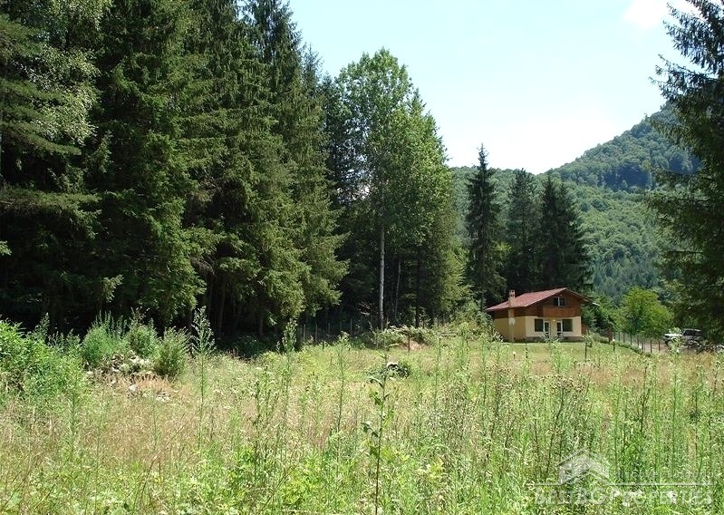 Regulated plot of land for sale in the Mountains