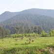 Regulated plot of land for sale near Borovets