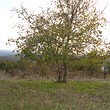 Regulated plot of land for sale near Bourgas