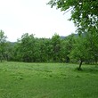 Regulated plot of land for sale near Gabrovo