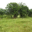 Regulated plot of land for sale near Karnobat
